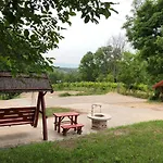 公寓 Balaton View